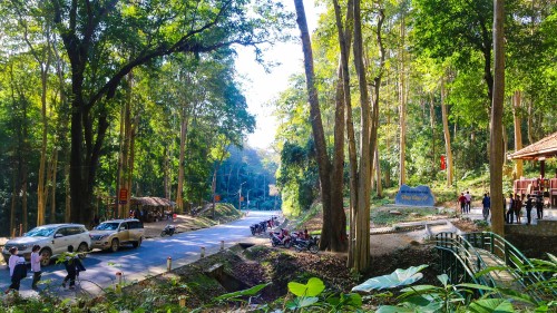 Trạm dừng chân rừng xăng lẻ